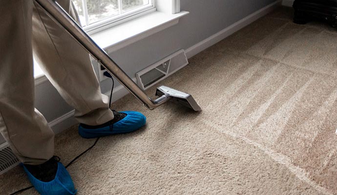 expert carpet cleaner