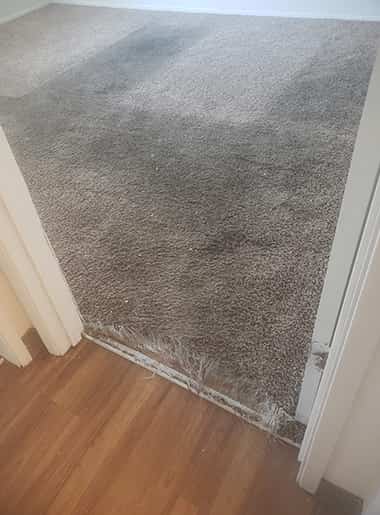 carpet-repair-Jerrara