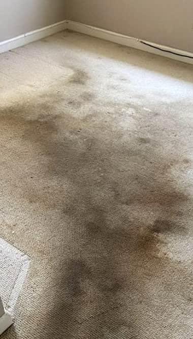 remove different stains from carpet